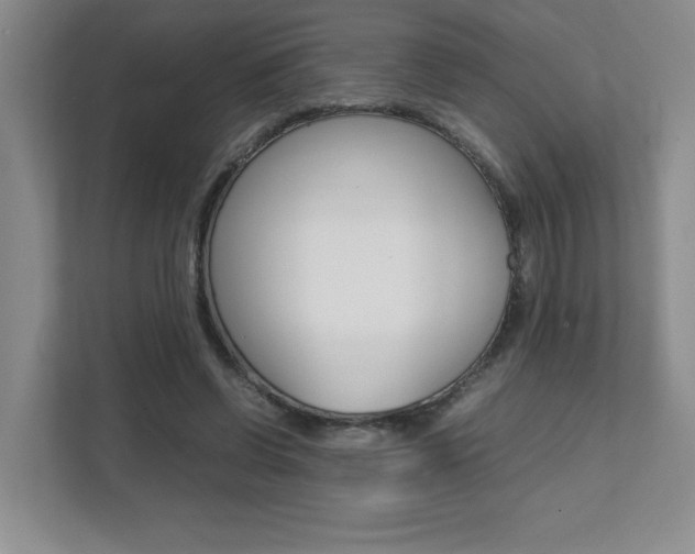 X0000112040542200908031044