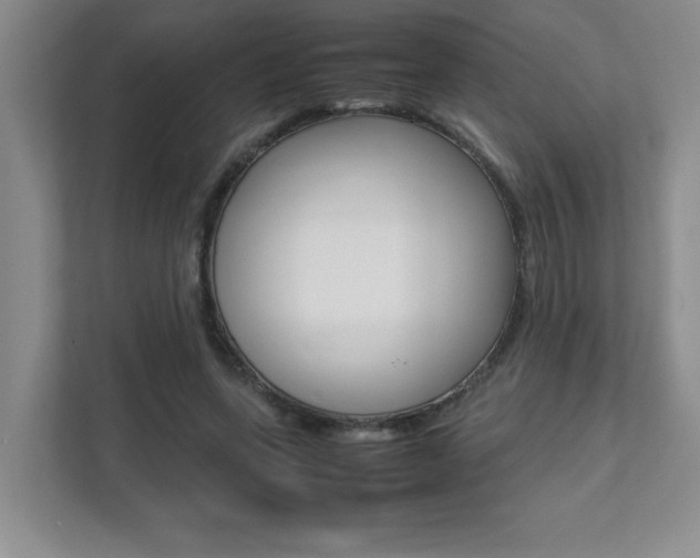 X0000112040543200908031044