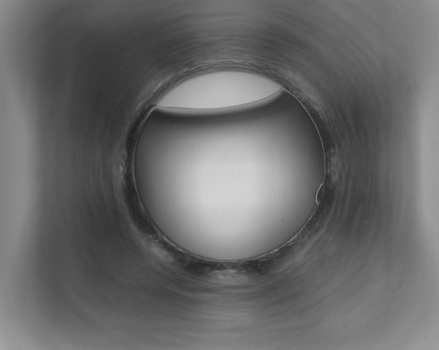 X0000112040544200908031044