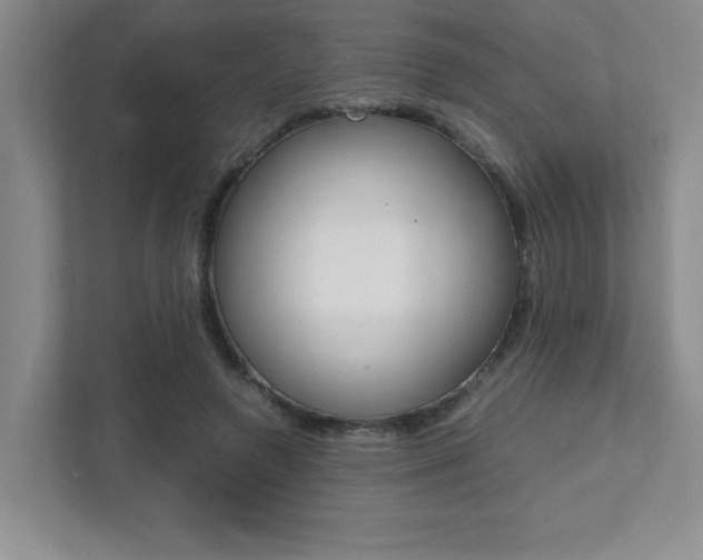 X0000112040546200908031044