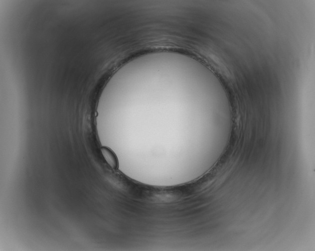 X0000112040547200908031044