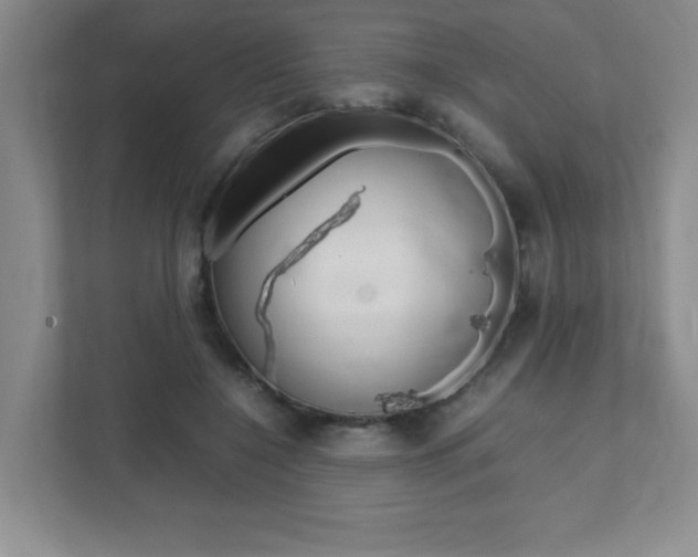 X0000112040548200908031044
