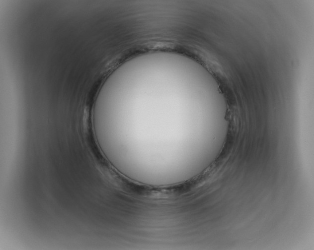 X0000112040550200908031044