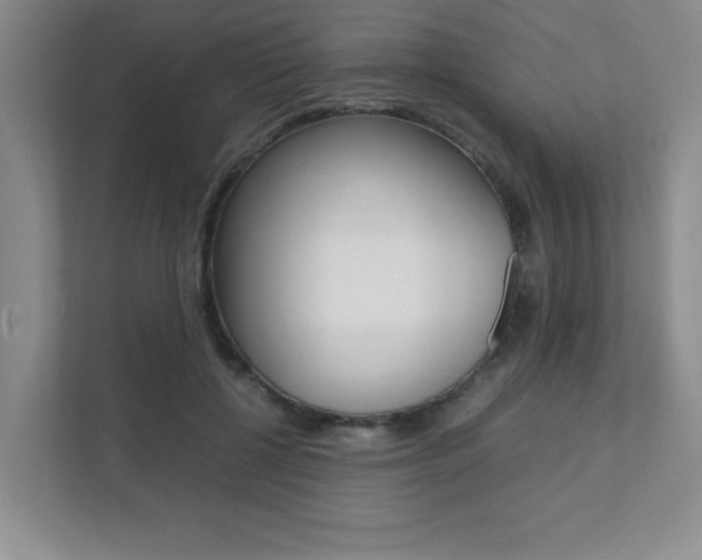 X0000112040552200908031044