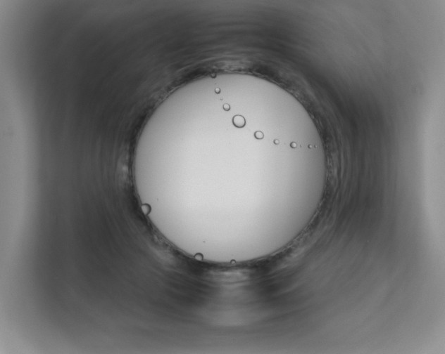 X0000112040553200908031044