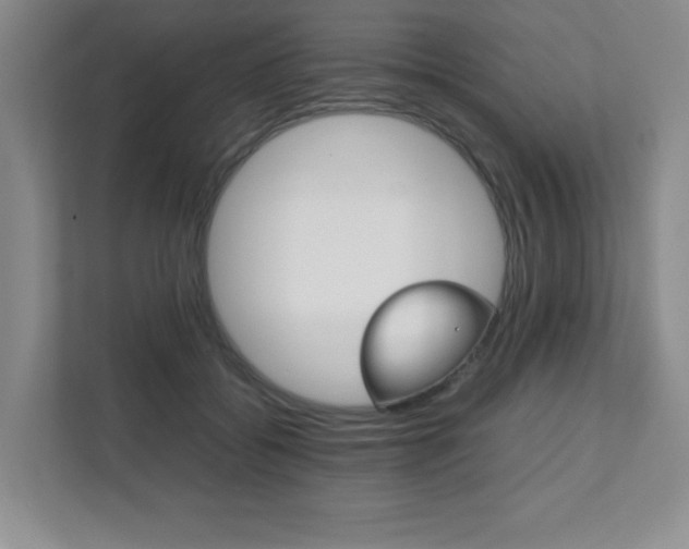 X0000112040556200908031044