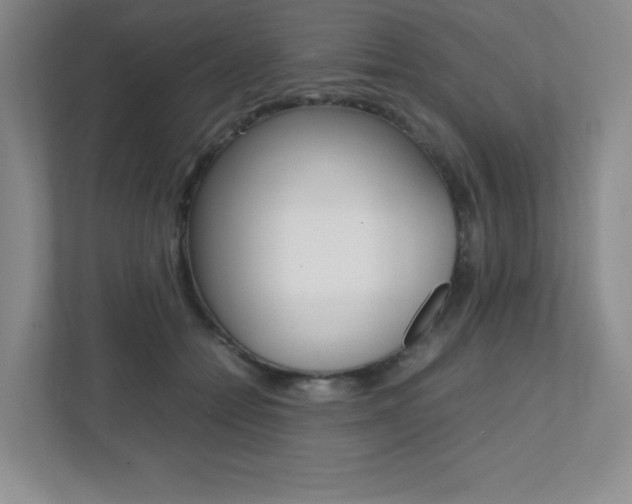 X0000112040558200908031044