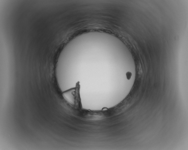 X0000112040559200908031044