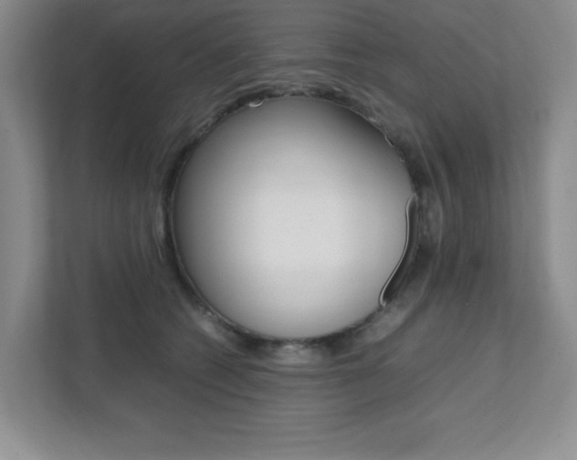 X0000112040562200908031044