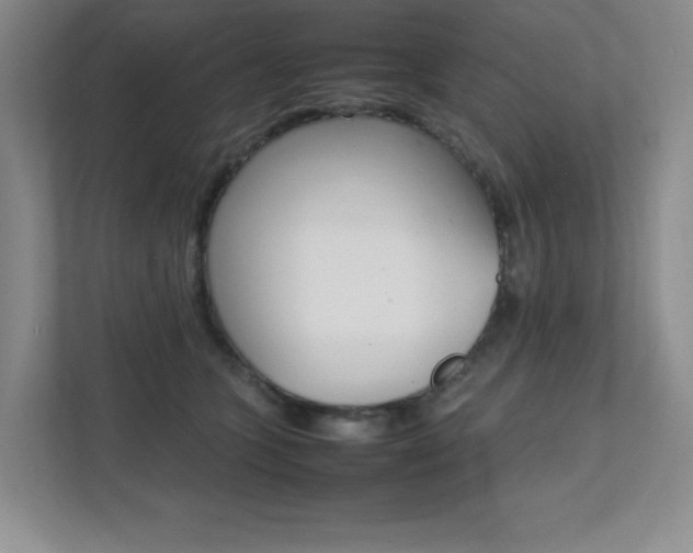 X0000112040563200908031044