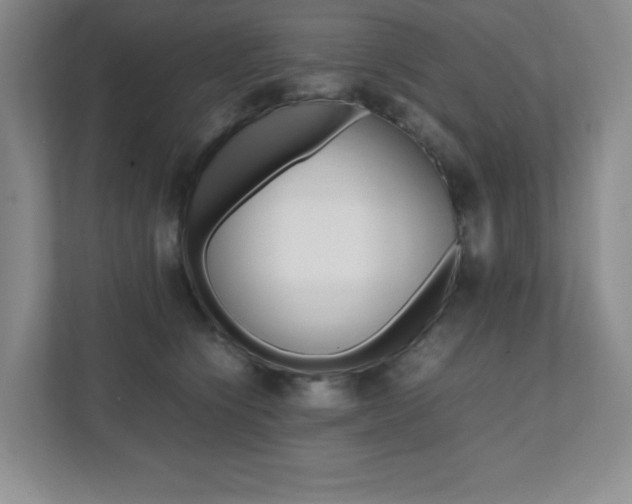 X0000112040564200908031044