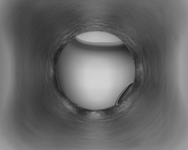 X0000112040566200908031044