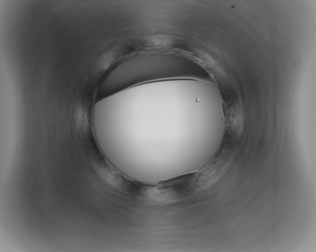 X0000112040568200908031044