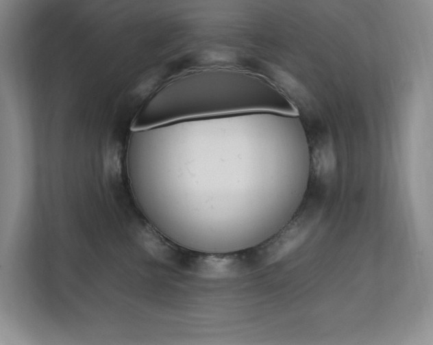 X0000112040570200908031044