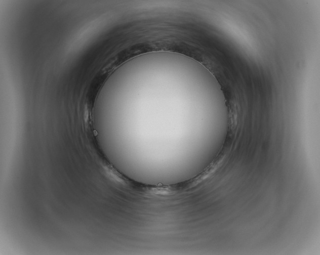 X0000112040574200908031044