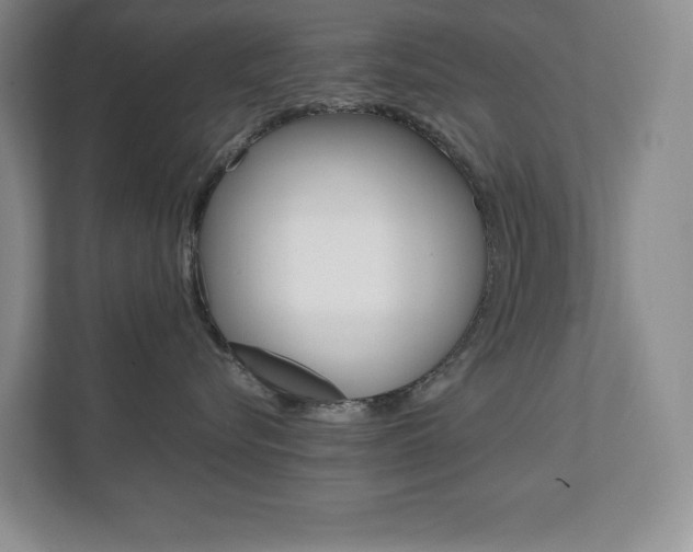X0000112040576200908031044