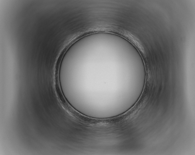 X0000112040578200908031044