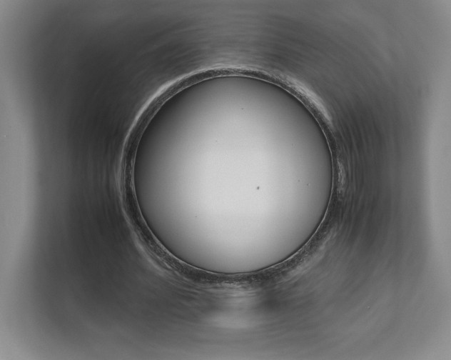X0000112040580200908031044
