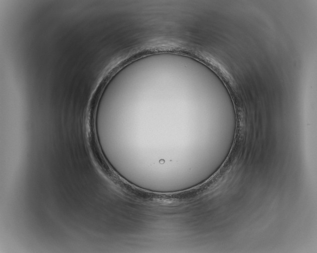 X0000112040582200908031044