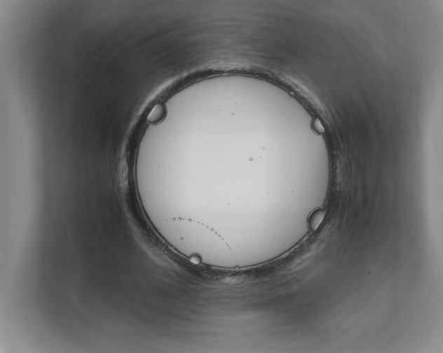 X0000112040584200908031044