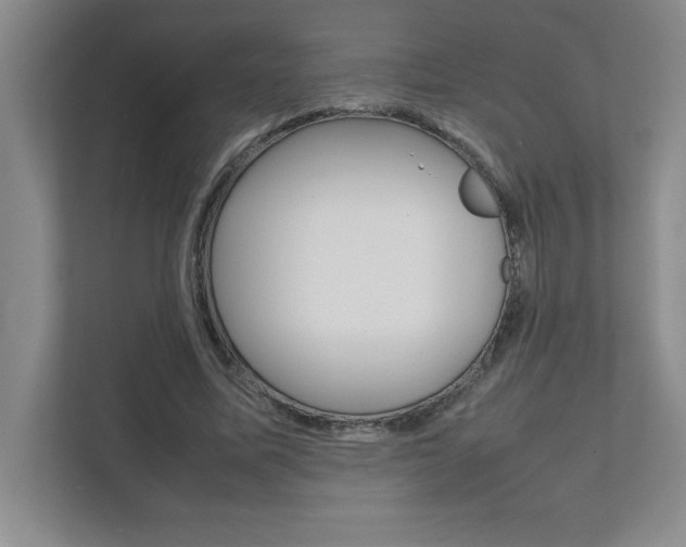 X0000112040587200908031044