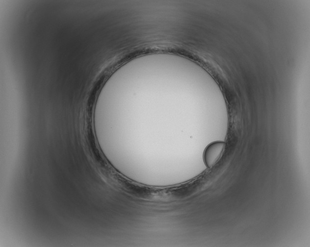 X0000112040591200908031044