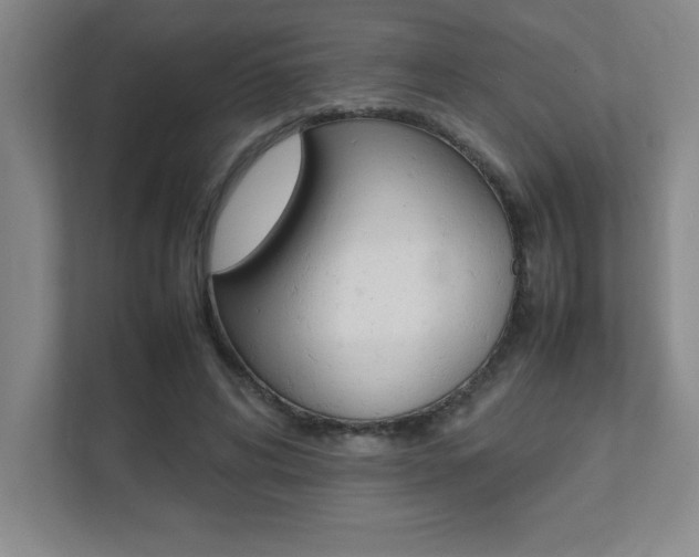 X0000112040592200908031044