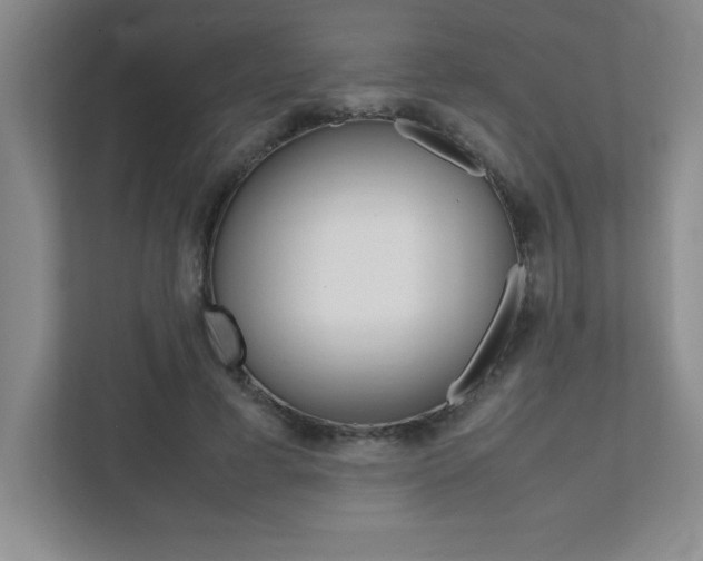 X0000112040593200908031044