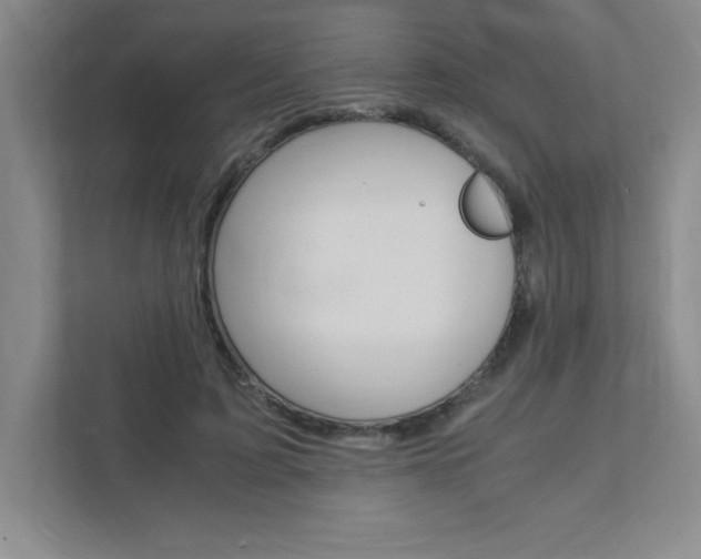 X0000112040595200908031044