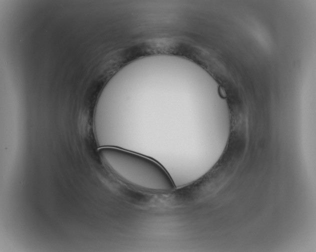 X0000112040599200908031044