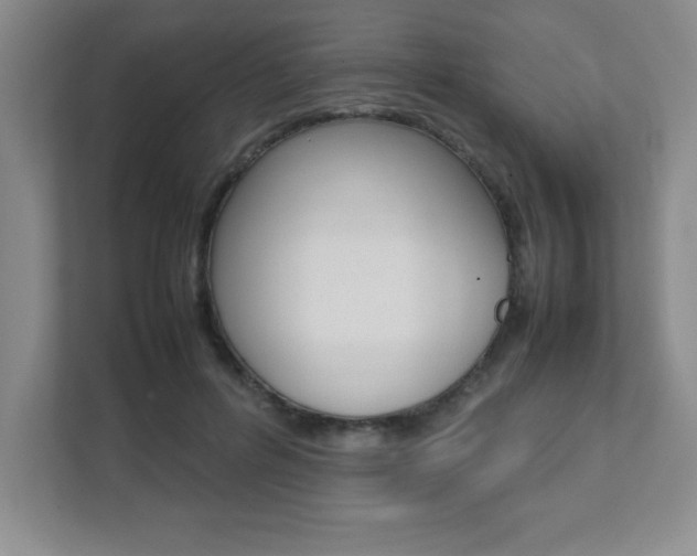 X0000112040600200908031044