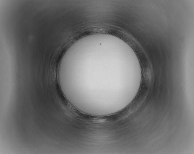 X0000112040602200908031044