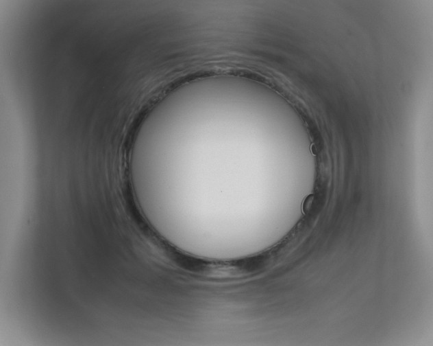 X0000112040605200908031043