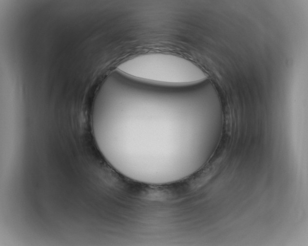 X0000112040608200908031043