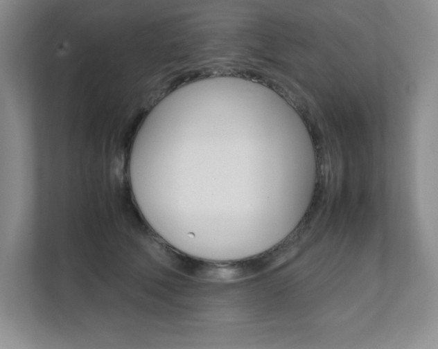 X0000112040610200908031043