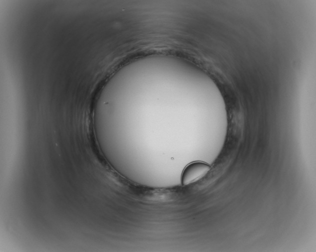 X0000112040612200908031043
