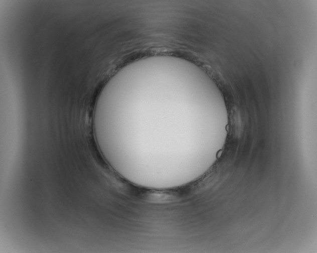 X0000112040614200908031043