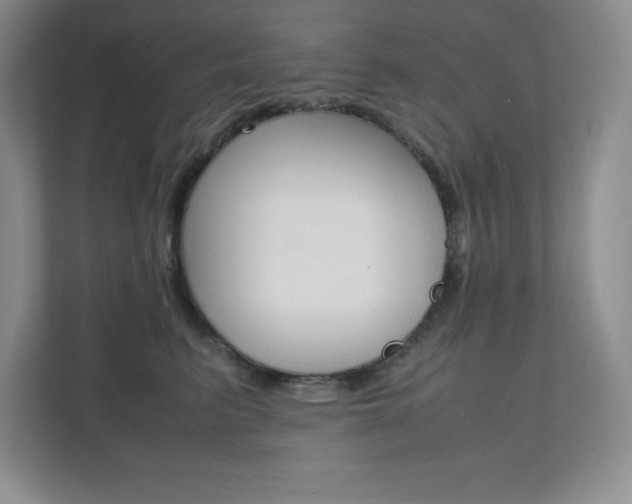 X0000112040615200908031043