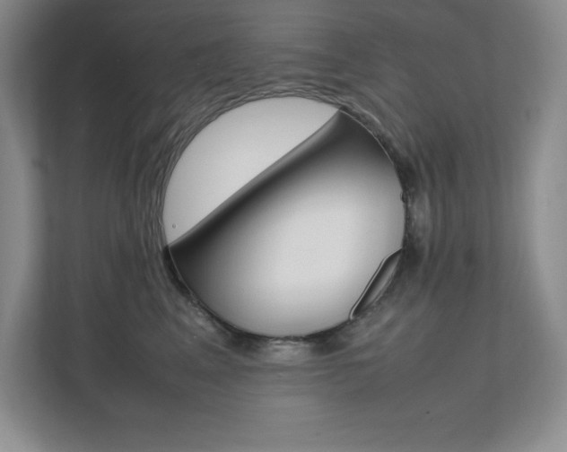 X0000112040617200908031043
