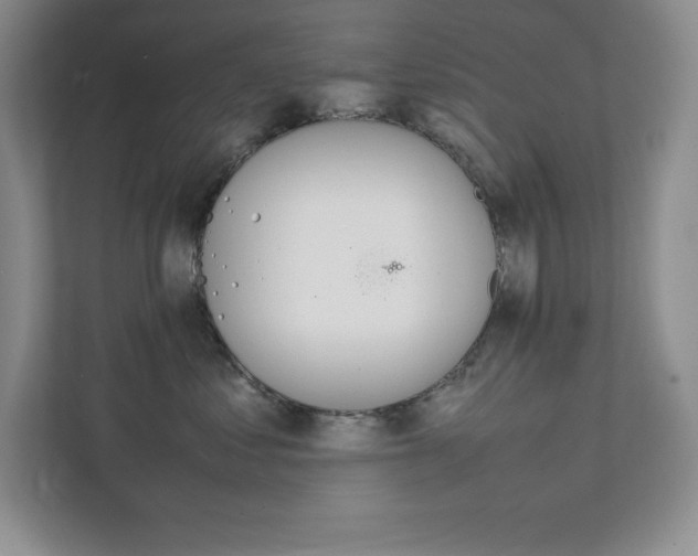 X0000112040621200908031043