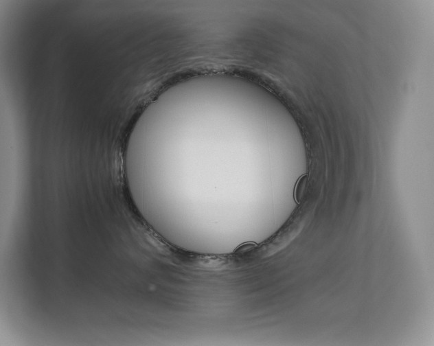 X0000112040624200908031043