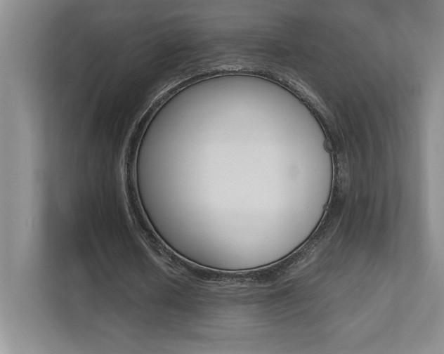 X0000112040626200908031043