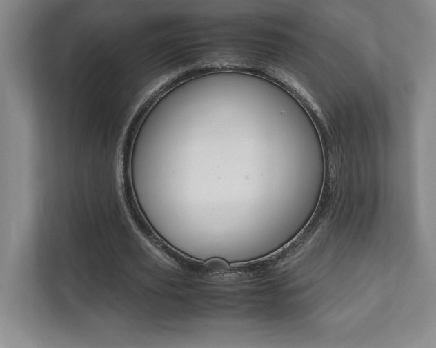 X0000112040629200908031043