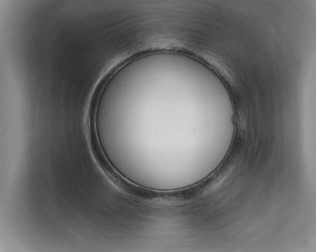 X0000112040630200908031043