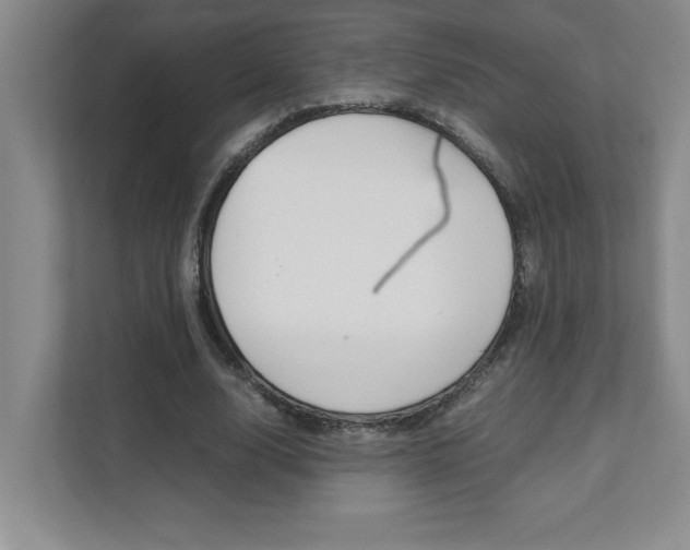 X0000112040632200908031043