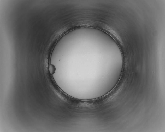 X0000112040633200908031043