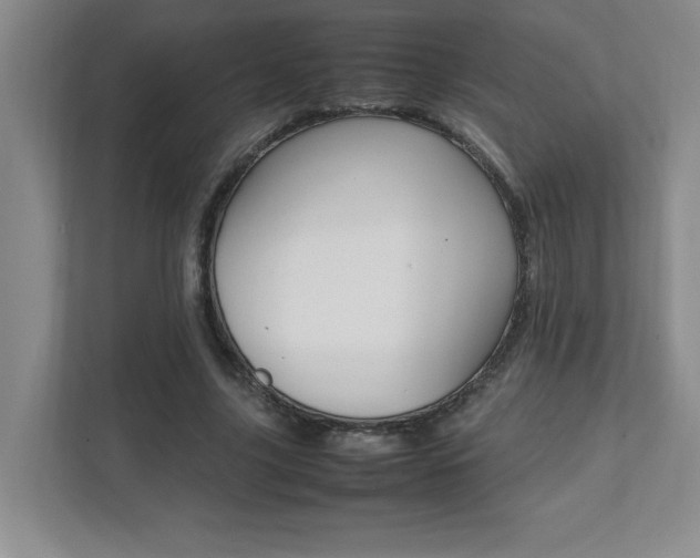 X0000112040635200908031043
