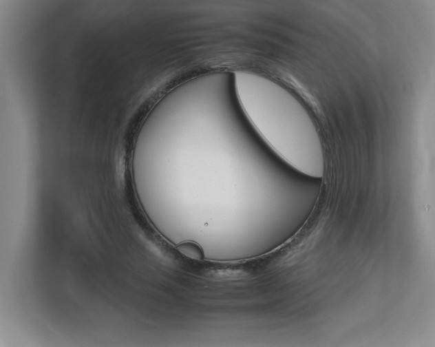 X0000112040637200908031043