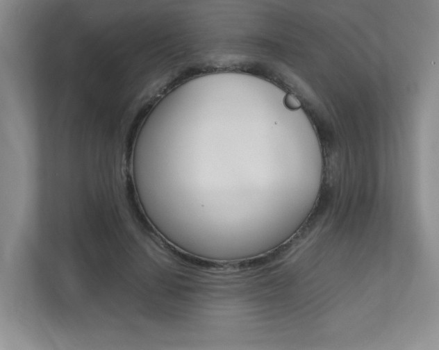 X0000112040644200908031043