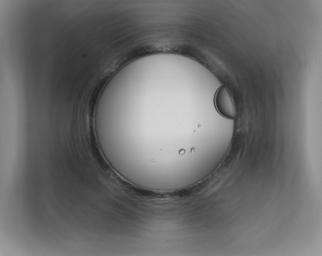 X0000112040646200908031043